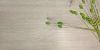 SPC ламинат Aspenfloor Smart Choice Дуб Фостер SC1-02