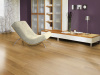 Двухслойная инженерная доска, дуб+фанера Termo Wood 16 280 (Селект)