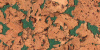 Стеновая панель Corkstyle Wall Design Monte Green
