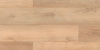 SPC ламинат Salag Wood Mastery YV2041